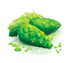 Outdoor Outdoor fresheners