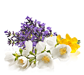Floral Fragrances thumb-big1