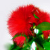 Eucalyptus Eucalyptus
