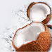 Coconut Coconut