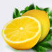 Lemon Lemon