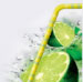 Mojito Mojito