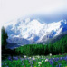 Mountain Fresh Mountain Fresh